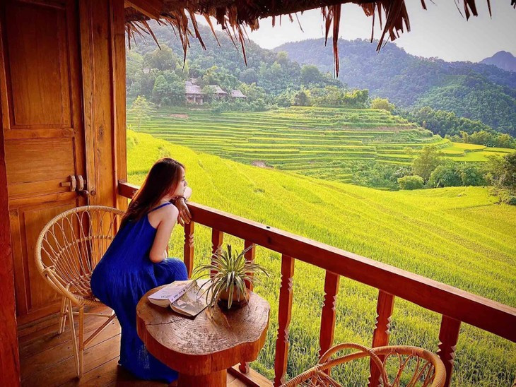 Toa do “san” mua lua chin dep nhat Viet Nam-Hinh-5