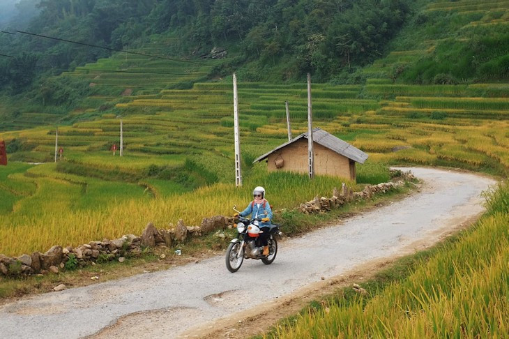 Toa do “san” mua lua chin dep nhat Viet Nam-Hinh-3