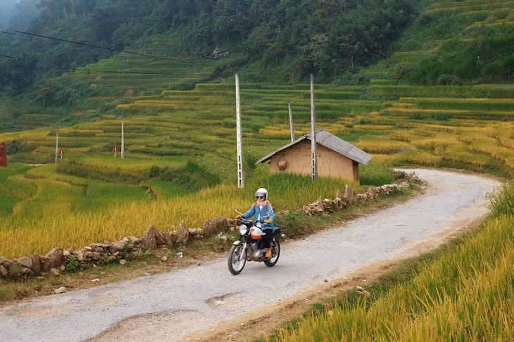 Toa do “san” mua lua chin dep nhat Viet Nam-Hinh-3