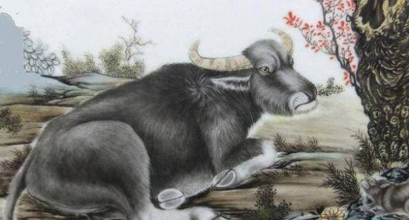 Ở mọi lĩnh vực, họ đều giỏi theo đuổi và khám phá, và với đôi mắt sáng suốt của mình, bạn luôn có thể tìm thấy sự đột phá trong cuộc sống. 