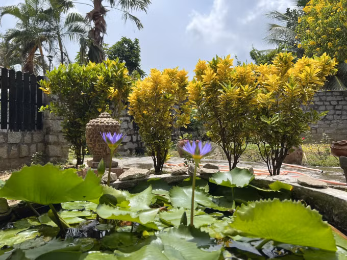 Bo pho ve que, chi 12 ty xay resort de nghi duong-Hinh-2