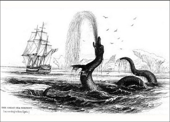 Tuy nhiên, Giáo sư Milner lại cho rằng loài rắn biển khổng lồ thật ra là một con cá quai chèo, rất ít khi trồi lên mặt nước. 