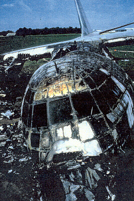 Chỉ trong vài giây, ngọn lửa lớn bùng lên, ngày càng trở nên dữ dội nhờ nguồn cấp oxy trên máy bay. Ảnh: Smart Pilot.