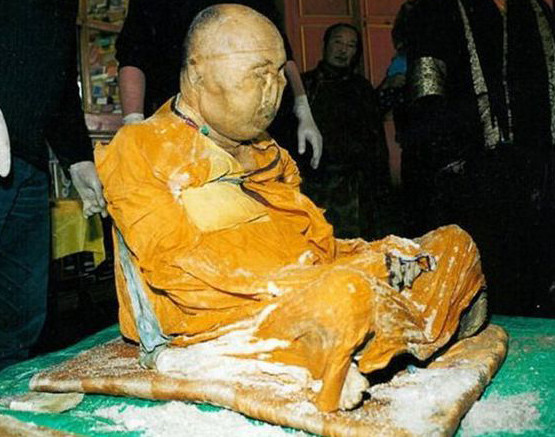 Việc uống trà độc sẽ gây nên hiện tượng nôn mửa và mất nước nhanh chóng. Nó cũng làm cho cơ thể chứa toàn chất độc khiến giòi bọ không thể xâm nhập được. Ảnh: Antropología.