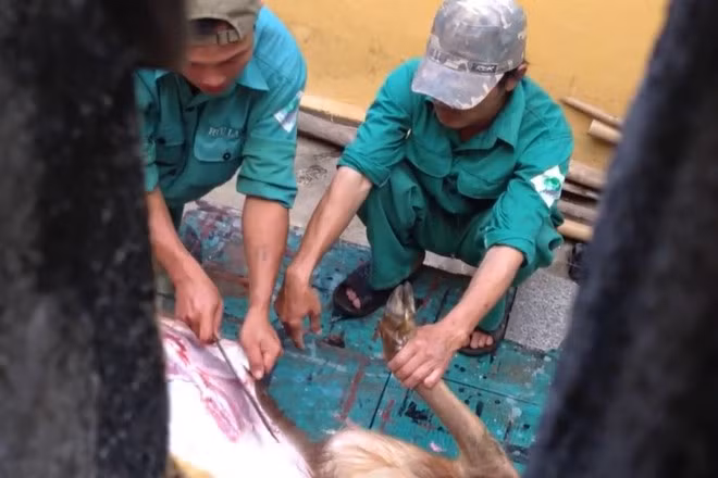 Ảnh cắt từ clip.