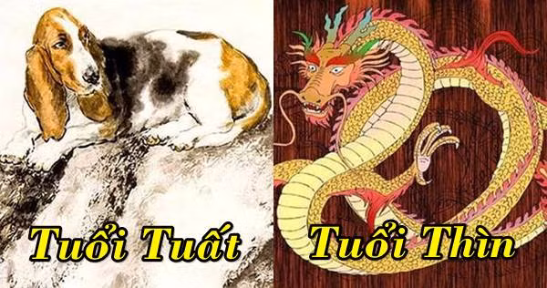 Cho nên, nếu sánh đôi cùng nhau, cả hai sẽ cảm thấy vô cùng khó chịu, mệt mỏi, khó lòng hòa hợp. 