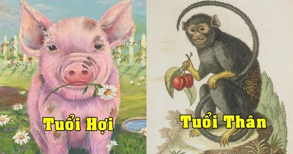 Bản tính của người tuổi Hợi là thích “hóng hớt”, dám làm không dám chịu, trong khi đó người tuổi Thân lại khá nhỏ mọn, hay càu nhàu, cứng đầu, bảo thủ. 2 nét tính cách ấy khi yêu thì có thể dung hòa nhưng một khi đã kết hôn thì cực kỳ xung khắc.