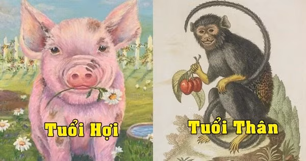 Bản tính của người tuổi Hợi là thích “hóng hớt”, dám làm không dám chịu, trong khi đó người tuổi Thân lại khá nhỏ mọn, hay càu nhàu, cứng đầu, bảo thủ. 2 nét tính cách ấy khi yêu thì có thể dung hòa nhưng một khi đã kết hôn thì cực kỳ xung khắc.