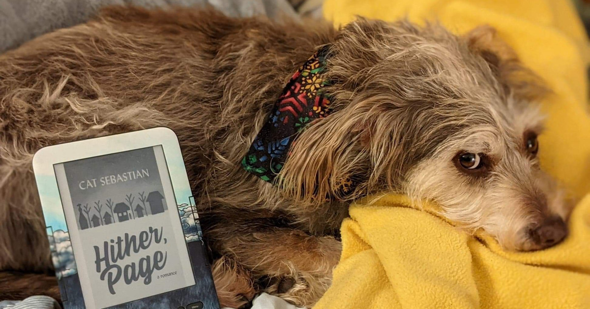 Hither, Page là một tác phẩm của Cat Sebastian. Jamie Sommers là cựu chiến binh từ Thế chiến II và cũng là một bác sĩ đầy tài năng. Anh buộc phải phối hợp cùng một người kỳ lạ khi ngôi làng bất ngờ xuất hiện vụ án chấn động. Để bắt được hung thủ, bộ đôi này đã phải trải qua rất nhiều sóng gió khác nhau. Chính quãng thời gian ấy lại khiến hai người nảy sinh tình cảm. Những phút giây phá án căng thẳng vô tình trở nên nhẹ nhàng, tình cảm hơn. Ảnh: Fitchburg Public Library.