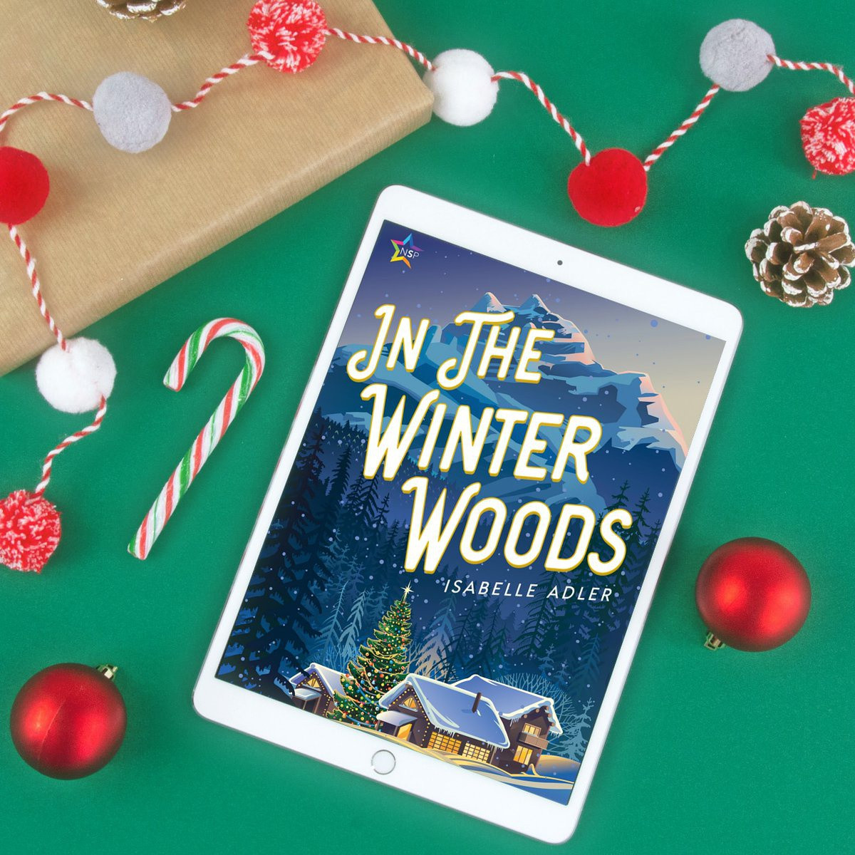 In the Winter Woods của nhà văn Isabelle Adler kể về một tác giả trẻ. Đáng lẽ cuộc sống của nhà văn trẻ tuổi sẽ nhẹ nhàng trôi qua nếu như không có kỳ nghỉ lễ Giáng sinh định mệnh ấy. Anh ta vướng vào một rắc rối lớn và trở thành nghi phạm cho tội danh giết người. Để lấy lại công bằng, nhân vật chính buộc phải phối hợp với ủy viên an toàn công cộng địa phương Curtis Monroe. Kể từ đó, tác phẩm không đơn thuần mang màu sắc trinh thám nữa. Ảnh: Isabelle Adler/Twitter.