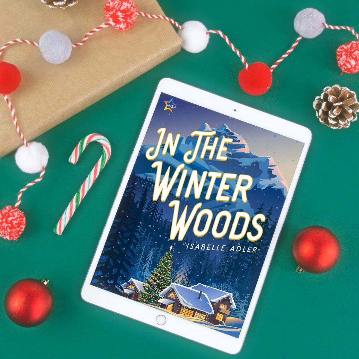 In the Winter Woods của nhà văn Isabelle Adler kể về một tác giả trẻ. Đáng lẽ cuộc sống của nhà văn trẻ tuổi sẽ nhẹ nhàng trôi qua nếu như không có kỳ nghỉ lễ Giáng sinh định mệnh ấy. Anh ta vướng vào một rắc rối lớn và trở thành nghi phạm cho tội danh giết người. Để lấy lại công bằng, nhân vật chính buộc phải phối hợp với ủy viên an toàn công cộng địa phương Curtis Monroe. Kể từ đó, tác phẩm không đơn thuần mang màu sắc trinh thám nữa. Ảnh: Isabelle Adler/Twitter.