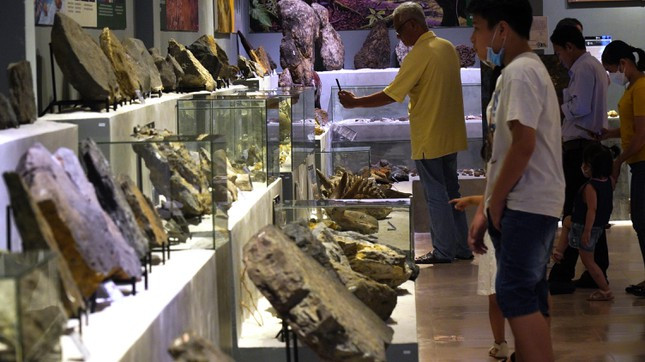 br/> Triển lãm đã thu hút nhiều lượt khách tham quan đến chiêm ngưỡng các hiện vật có niên đại “khủng” từ hàng chục nghìn đến hàng trăm triệu năm, thậm chí hơn 2,9 tỷ năm. Đây cũng là địa chỉ thu hút nhiều em nhỏ, học sinh đến tham quan, tìm hiểu, khám phá nguồn gốc sự sống trên trái đất thông qua một đợt triển lãm quy mô. Ảnh: Ngọc Văn