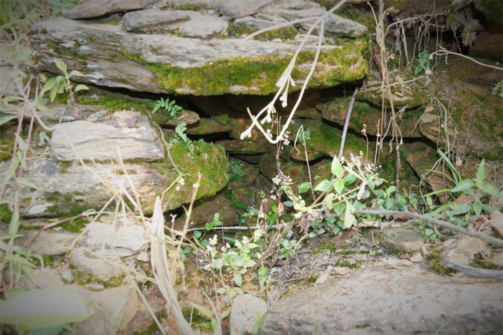 br/> Được biết, với những giá trị nổi bật về kiến trúc nghệ thuật, về khảo cổ học và lịch sử văn hóa, ngày 12 tháng 12 năm 2014, Bộ trưởng Bộ Văn hóa, Thể thao và Du lịch đã có Quyết định số 4105/QĐ-BVHTTDL công nhận và xếp hạng Lũy đá Kỳ Anh là di tích Kiến trúc nghệ thuật.