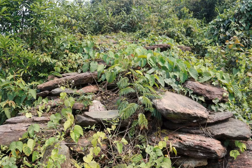 Năm 1993, trong quá trình sưu tầm, nghiên cứu các di tích trên địa bàn tỉnh, các cán bộ Bảo tàng tỉnh Hà Tĩnh đã phát hiện một đoạn lũy đá còn nguyên vẹn thuộc địa phận xã Kỳ Lạc, huyện Kỳ Anh.