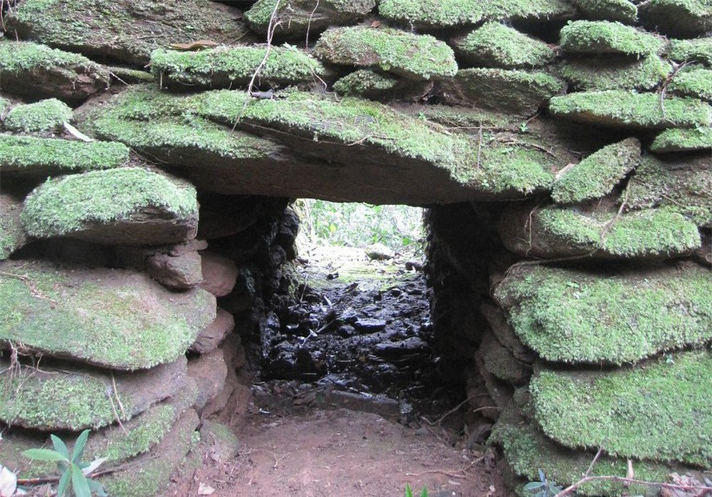 br/> Qua hàng chục năm tìm hiểu, đồng hành cùng các nhà nghiên cứu, ông Nguyễn Trí Sơn – Chủ tịch Hội Khoa học lịch sử Hà Tĩnh (nguyên Giám đốc Bảo tàng Hà Tĩnh) khẳng định, đây là một lũy đá cổ hiếm có trên cả nước nói chung và khu vực bắc miền Trung nói riêng. Hiện tại chưa tìm thấy hệ thống thành lũy nào ở nước ta có kết cấu và quy mô độc đáo như lũy đá Kỳ Anh.