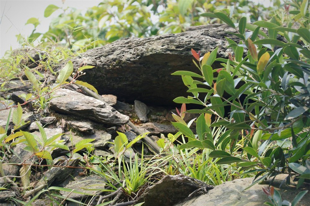 br/> "Lũy được xây bằng những viên đá tự nhiên với kỹ thuật ghép đá công phu và điêu luyện, ở trên đèo núi cao, có độ dốc lớn, khí hậu vô cùng khắc nghiệt bão lũ xảy ra thường xuyên nhưng lũy đá vẫn tồn tại với thời gian suốt qua hàng mấy thế kỷ mà không hề bị phá hủy. Đây cũng là giá trị nổi bật của di tích mà chúng ta cần bảo vệ nguyên trạng để phục vụ cho công tác nghiên cứu khảo cổ, kiến trúc nghệ thuật quân sự và phục vụ cho công tác du lịch khám phá trong thời gian tới", ông Sơn nói.