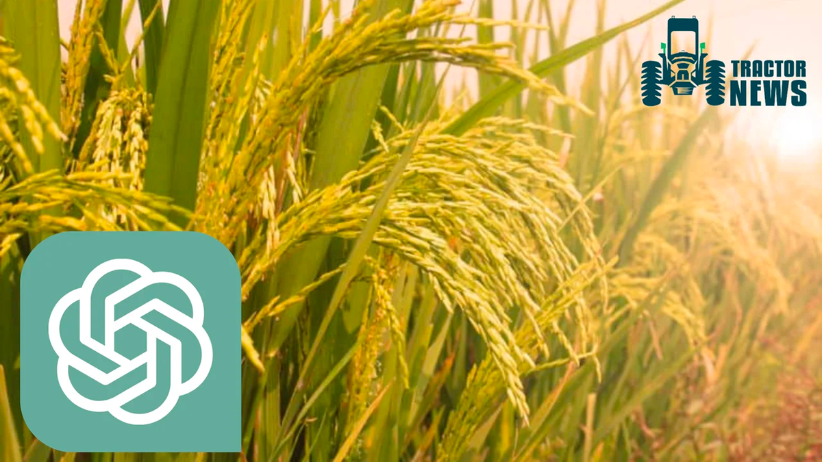 Đây là cách nông dân Mỹ tăng năng suất nông nghiệp bằng ChatGPT Day la cach nong dan My tang nang suat nong nghiep bang ChatGPT