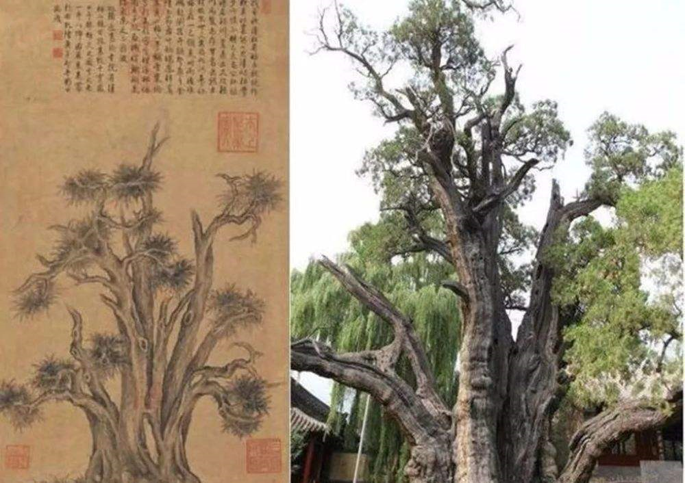 Cổ vật nào của vua Càn Long suýt thành tang vật trong “vụ lừa đảo”? - Hình 2 Co vat nao cua vua Can Long suyt thanh tang vat trong “vu lua dao”?-Hinh-2