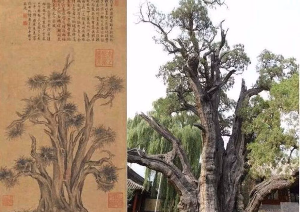 Co vat nao cua vua Can Long suyt thanh tang vat trong “vu lua dao”?-Hinh-2