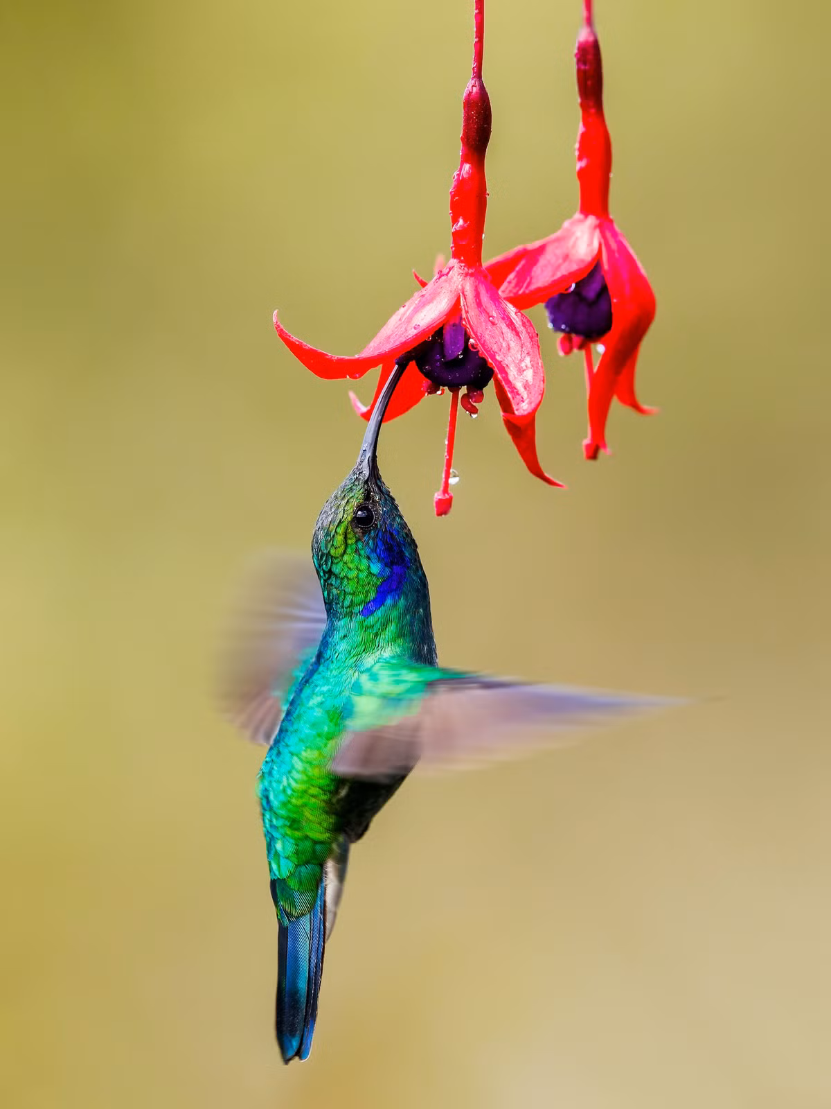 Phu nu sinh ngay Am nay tu nho duoc cung chieu, lon len cang may man