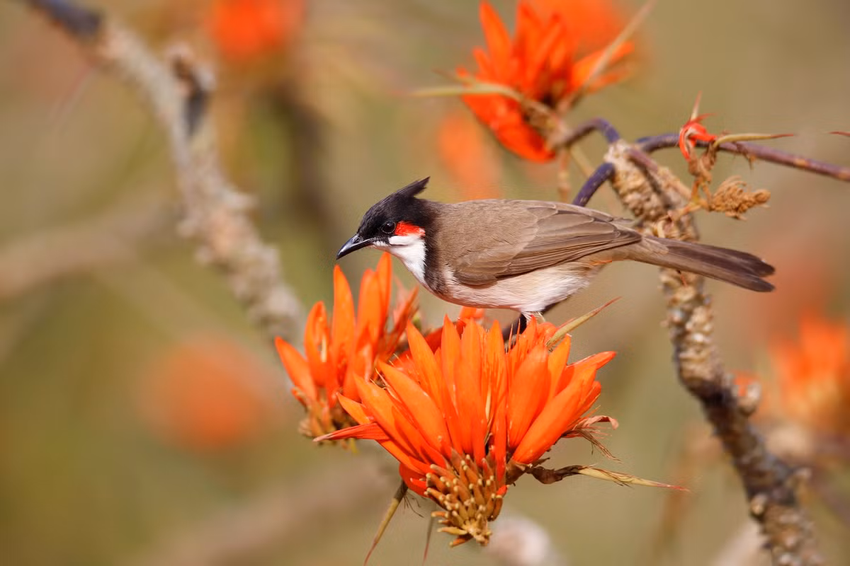 Phu nu sinh ngay Am nay tu nho duoc cung chieu, lon len cang may man-Hinh-2