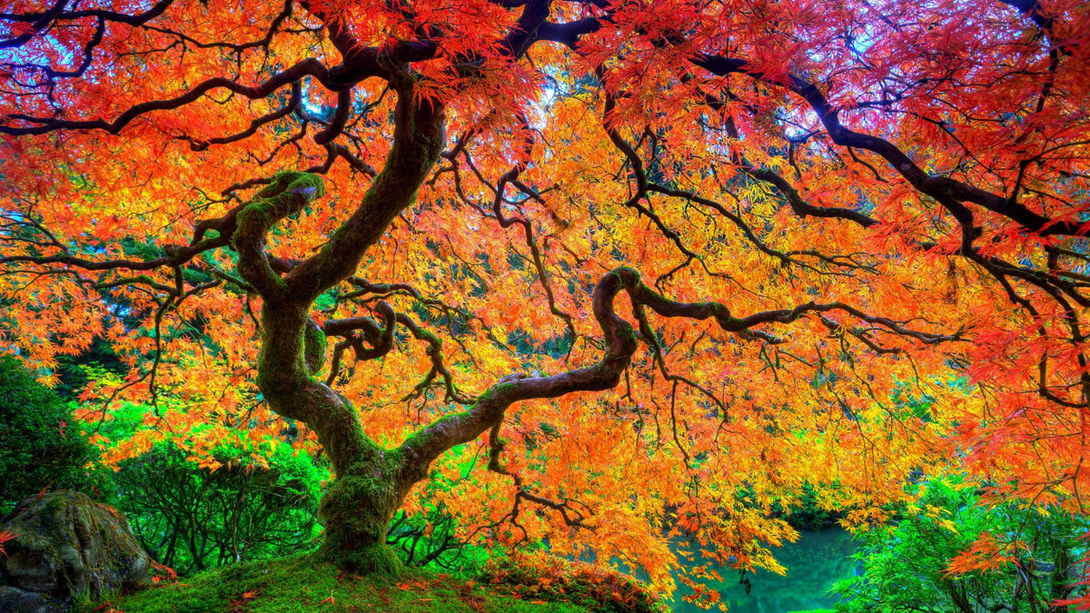 Tháng 7 cô hồn, 5 con giáp nhiều trắc trở, sống tốt sẽ vượt qua Thang 7 co hon, 5 con giap nhieu trac tro, song tot se vuot qua