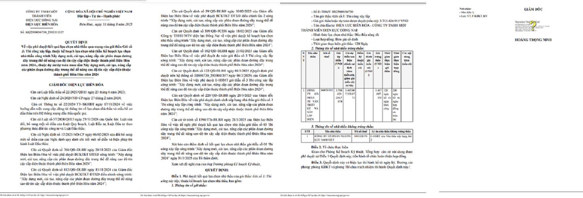 Dien luc Bien Hoa: Nang luc nha thau trung goi xay dung, nang cap duong day trung the