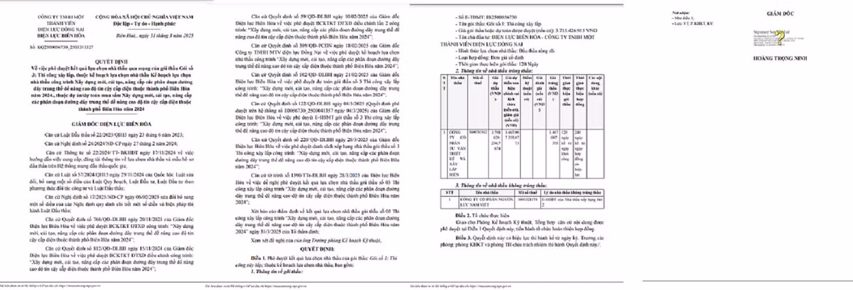 Dien luc Bien Hoa: Nang luc nha thau trung goi xay dung, nang cap duong day trung the