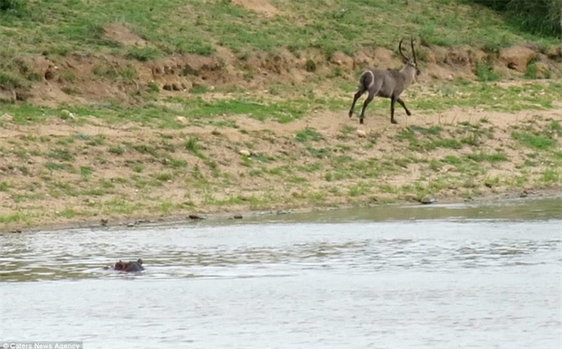 ó lập tức bỏ chạy khỏi hiện trường để tránh điều tương tự xảy ra.