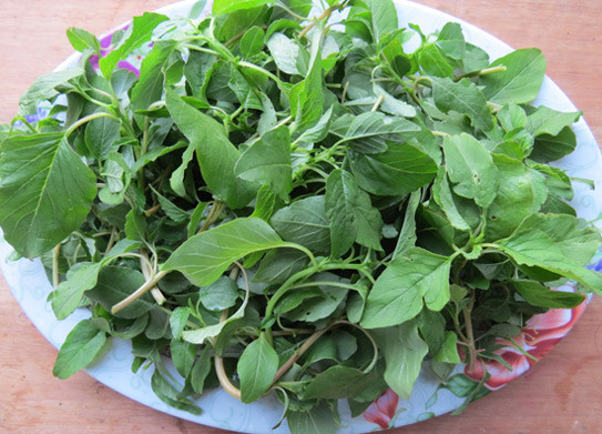 Loai rau duoc xem la “rau truong tho”, moc dai day o Viet Nam-Hinh-5