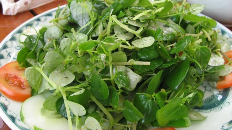 Loai rau duoc xem la “rau truong tho”, moc dai day o Viet Nam-Hinh-2