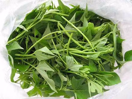 Loai rau duoc xem la “rau truong tho”, moc dai day o Viet Nam-Hinh-6