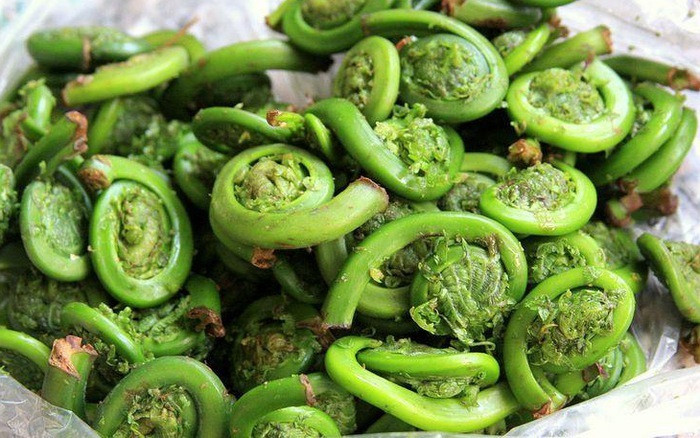 Loai rau duoc xem la “rau truong tho”, moc dai day o Viet Nam-Hinh-7