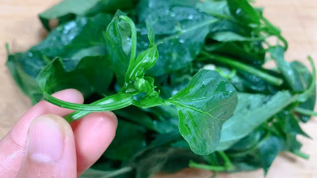 Mon canh giai nhiet sieu bo mua he, duong da cuc min