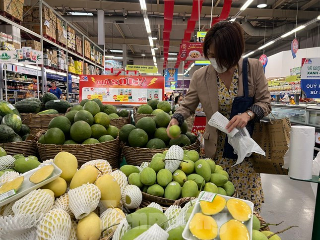 Xoài cát Hòa Lộc có mã vùng trồng được bày bán tại nhiều siêu thị ở TPHCM