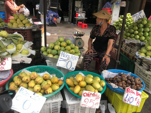 Theo dự kiến từ các tiểu thương, vụ thu hoạch xoài sẽ kéo dài khoảng hơn 1 tháng nữa, sau đó có thể giá tăng trở lại.