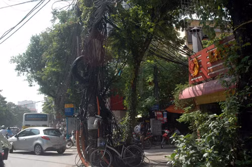 Cáp thông tin, dây điện kéo ngang, kéo dọc từ chân lên đỉnh cột điện trên phố Thái Hà, quận Đống Đa.