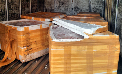 Các hộp chứa lòng lợn thối.