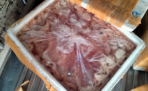 Lòng lợn thối được đựng trong túi nilon và nước.