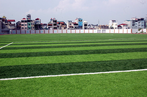 Mặt cỏ nhân tạo.