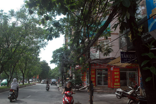 "Rác trời" uốn lượn trên đường Trần Đăng Ninh, quận Cầu Giấy...