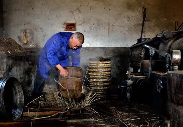 Dầu hạt trà có tác dụng làm sạch cơ thể, giải độc, tiêu diệt côn trùng. Trong món ăn, người ta thường dùng để trộn salad.
