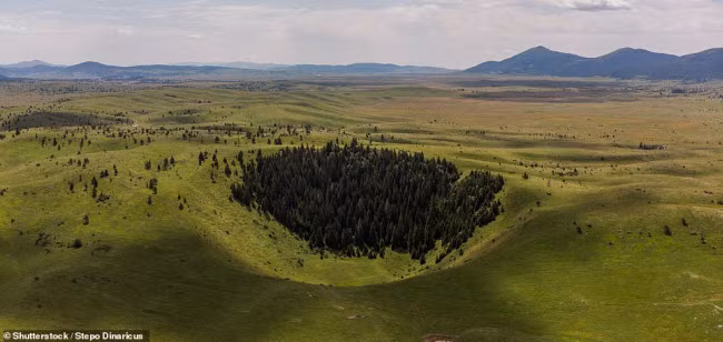 Bosnia và Herzegovina: Quốc gia châu Âu này có nhiều hố tử thần với cây phủ xanh mướt.