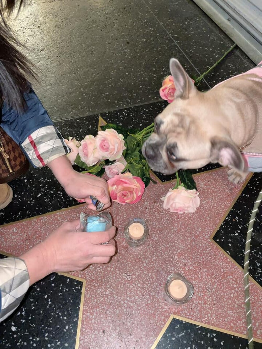 Vo cu Hoang Anh gay chu y khi dot nen tuong nho co NS Chi Tai-Hinh-2