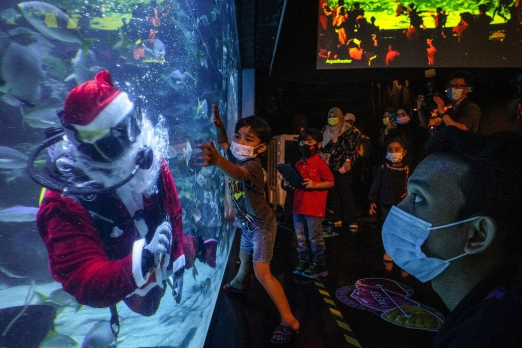 Cậu bé thích thú khi nhìn thợ lặn hóa thân thành ông già Noel. Ảnh chụp ở thủy cung Aquaria KLCC (Kuala Lumpur, Malaysia). Ảnh: AFP.