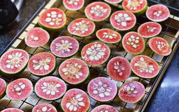 Loại quả xưa cho không ai lấy giờ chị em mua với giá đắt - Hình 2 Loai qua xua cho khong ai lay gio chi em mua voi gia dat-Hinh-2