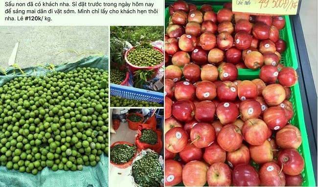 Sau non dat hon trai cay nhap khau, tieu thuong “hot bac“-Hinh-2