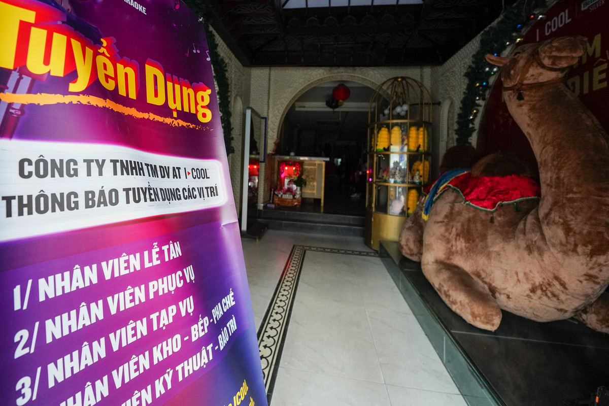 Đại diện các đơn vị nhận định đây là giai đoạn khó tuyển nhân sự nhất, bởi những người đã có việc làm thường sẽ làm đến hết năm để có thưởng Tết, còn những người đang thất nghiệp đều đã về quê, đợi sau Tết mới quay lại TP.HCM.