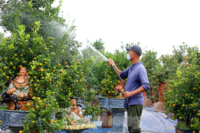 Chị Linh chia sẻ: "Để có được những chậu cây phong thuỷ độc đáo Phúc - Lộc - Thọ... như thế này, chúng tôi phải mất khá nhiều công sức, 8 tháng để uốn nắn dáng cây, nuôi dưỡng, chăm sóc".