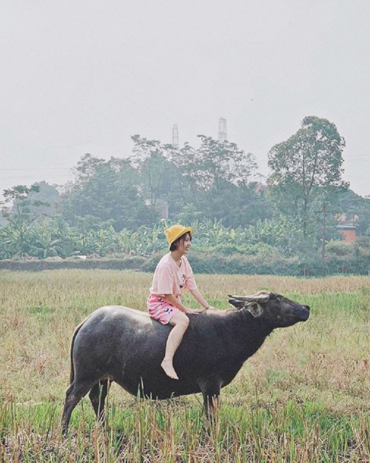 Trên thực tế, thu nhập của "thánh nữ nhạc chế" không cao như con số dự đoán. Trong một chia sẻ cách đây không lâu, Hậu Hoàng tiết lộ rằng thông thường khi làm video, cô đã có tính toán trừ đi phần cát-xê trả cho anh em ê-kíp, rồi sau đó cũng không tính lại nên bản thân không biết thu nhập của mình bao nhiêu.